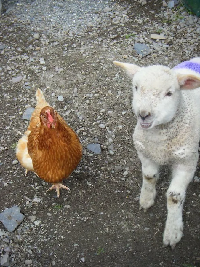 Dun Oir Farmhouse.Bantry Co Cork Apartament 0*,  Irlandia